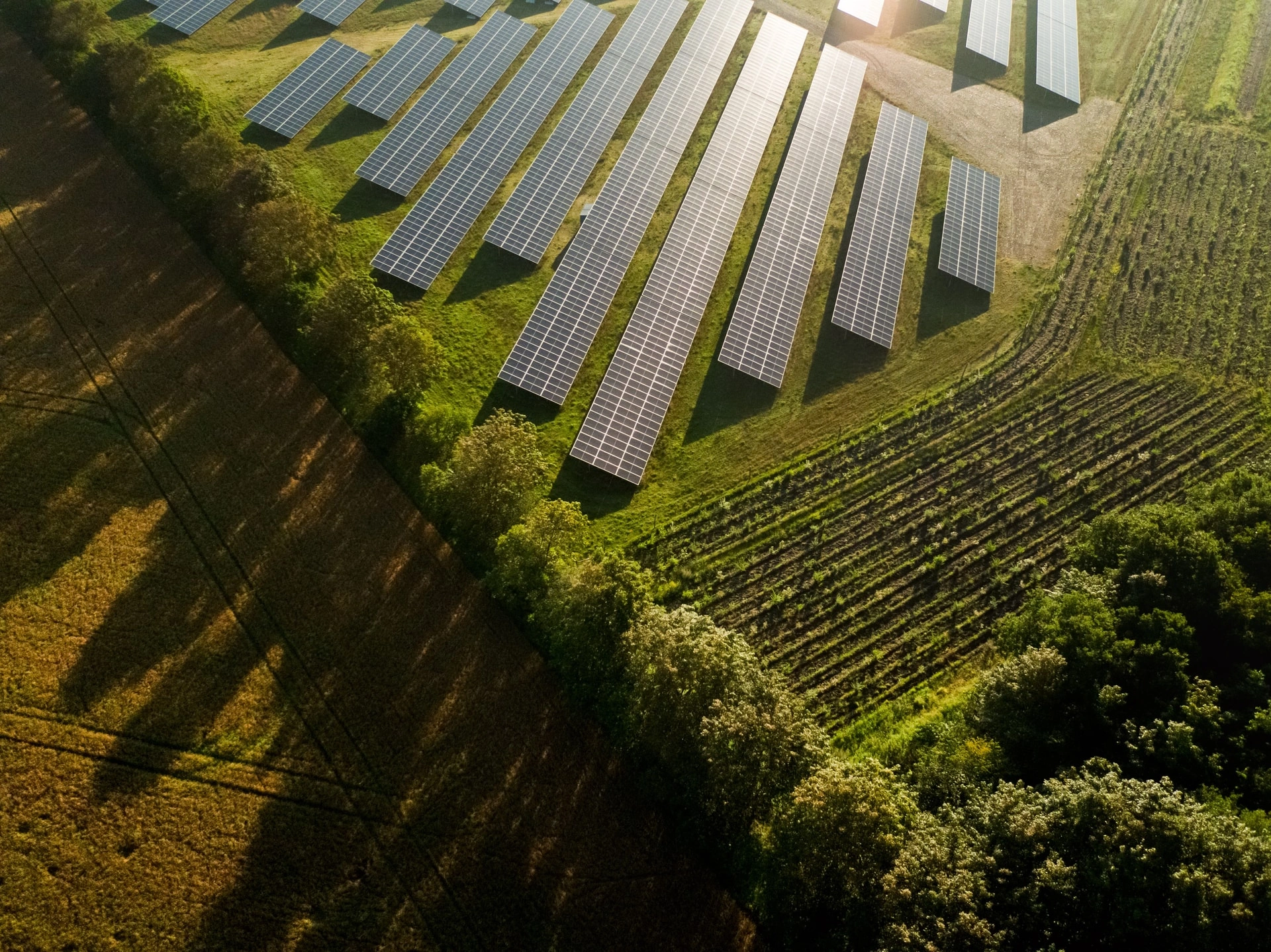 A solar park next to a fence of hedges 